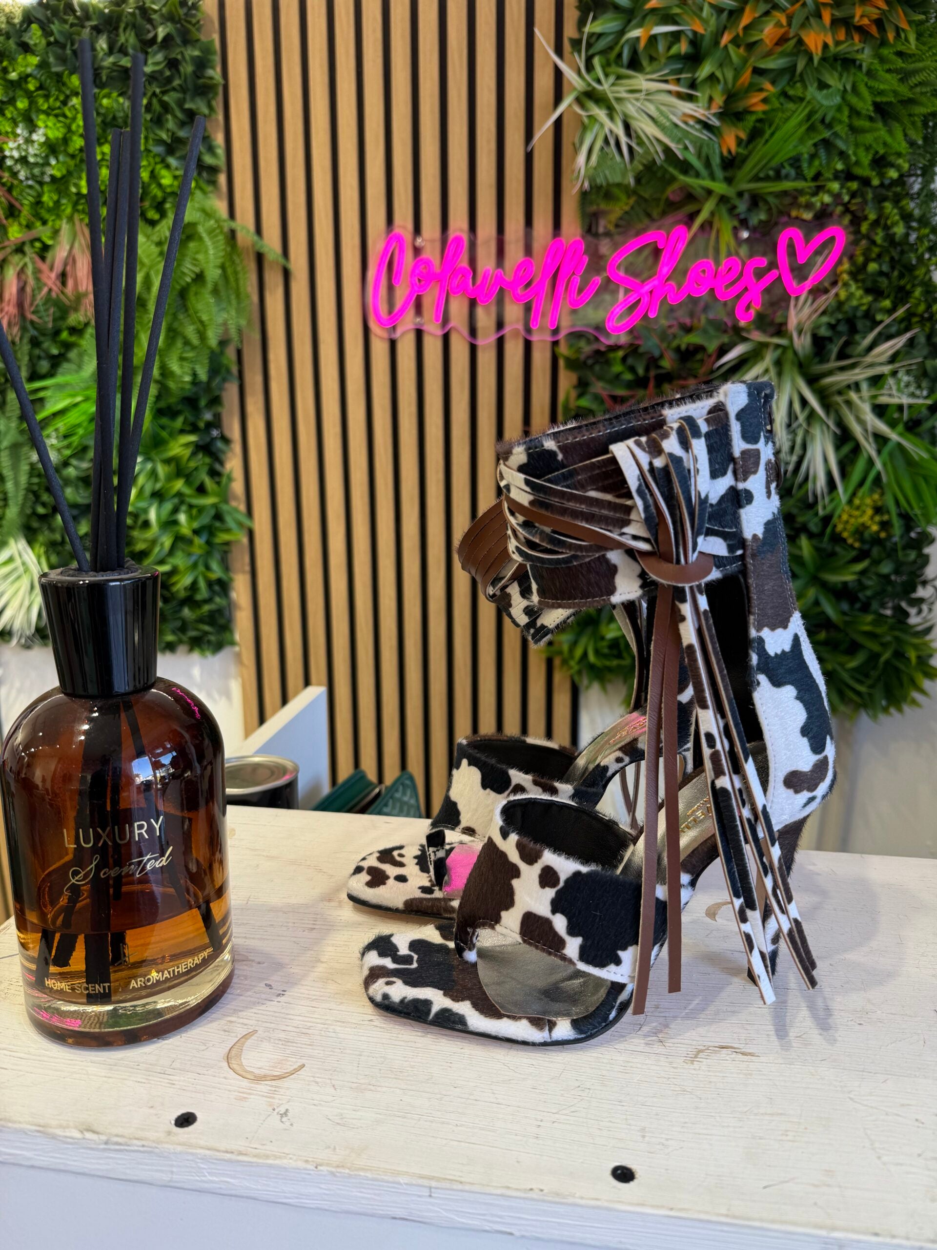 Aurora Jeffry Brown Black Cow