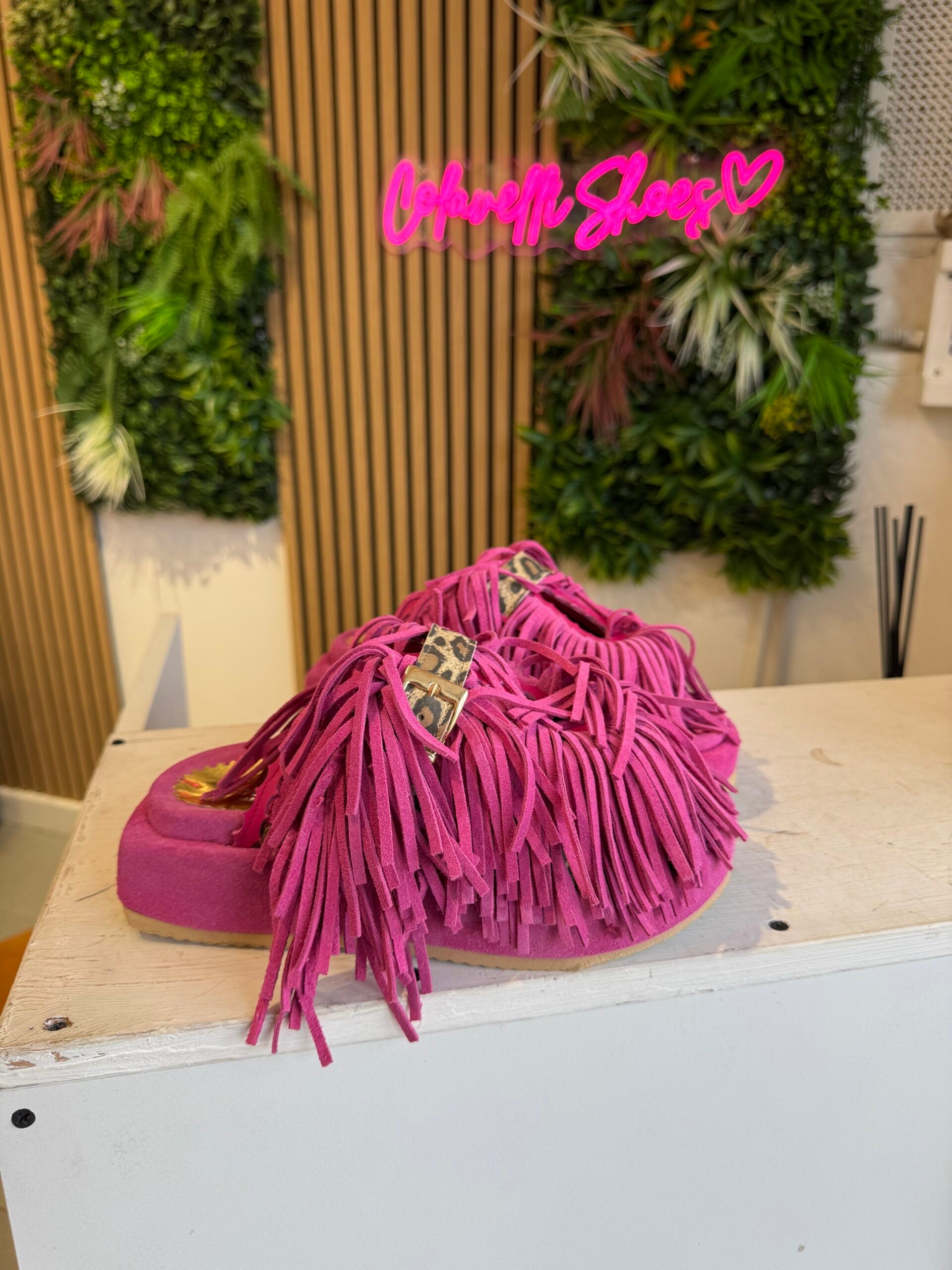Sinfonia cam fuchsia rip spotted