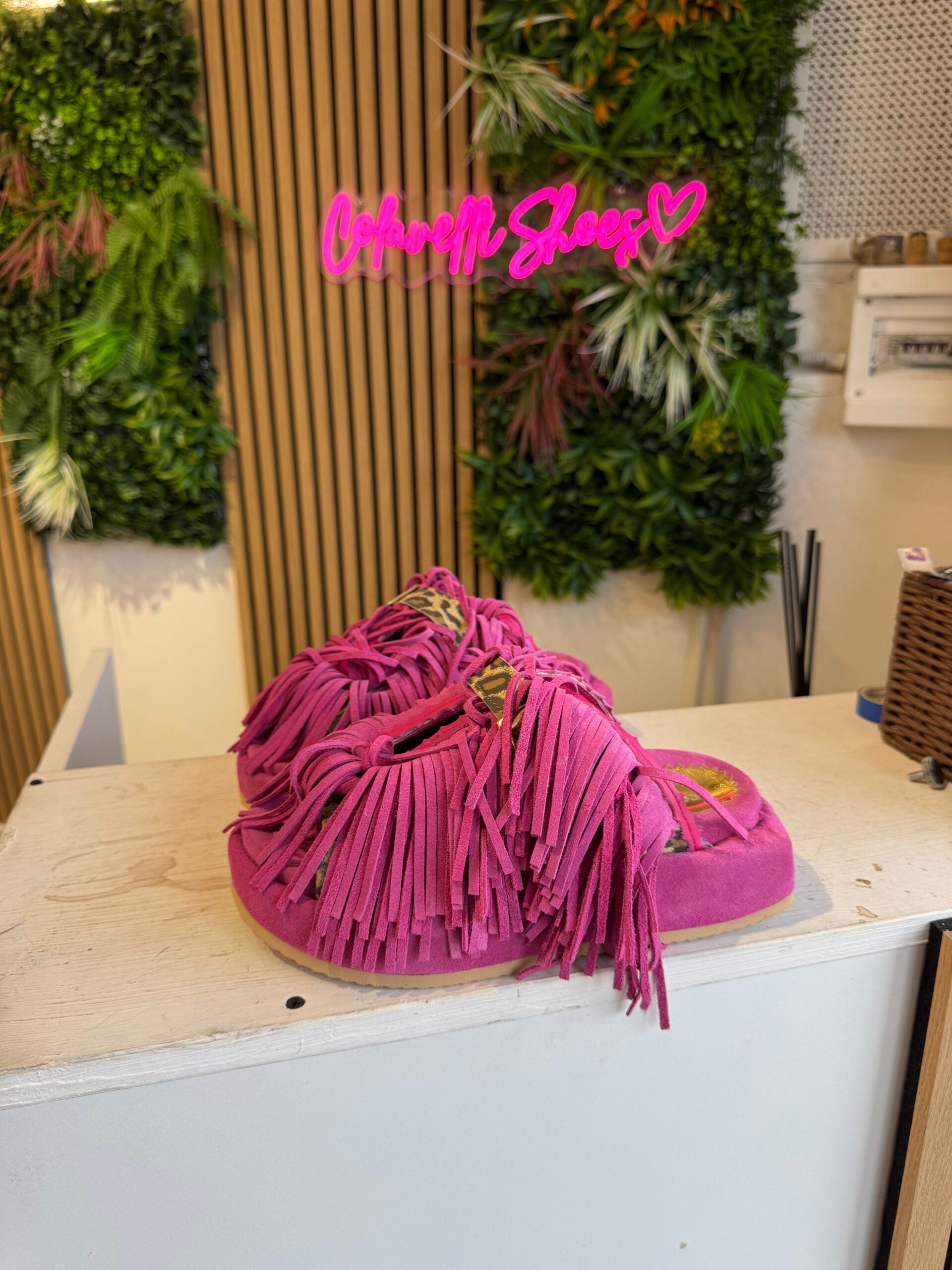 Sinfonia cam fuchsia rip spotted