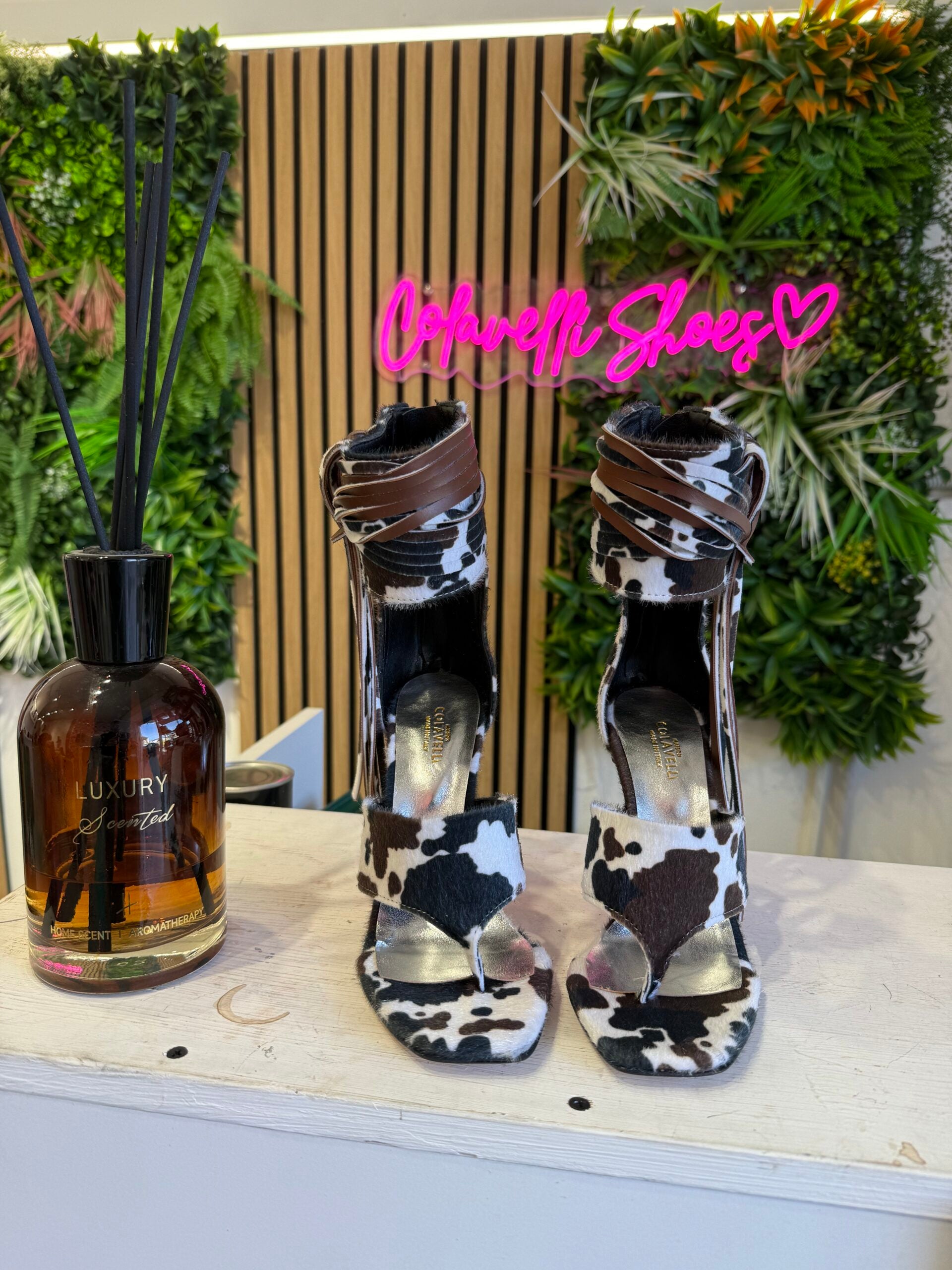 Aurora jeffry mucca marrone nero