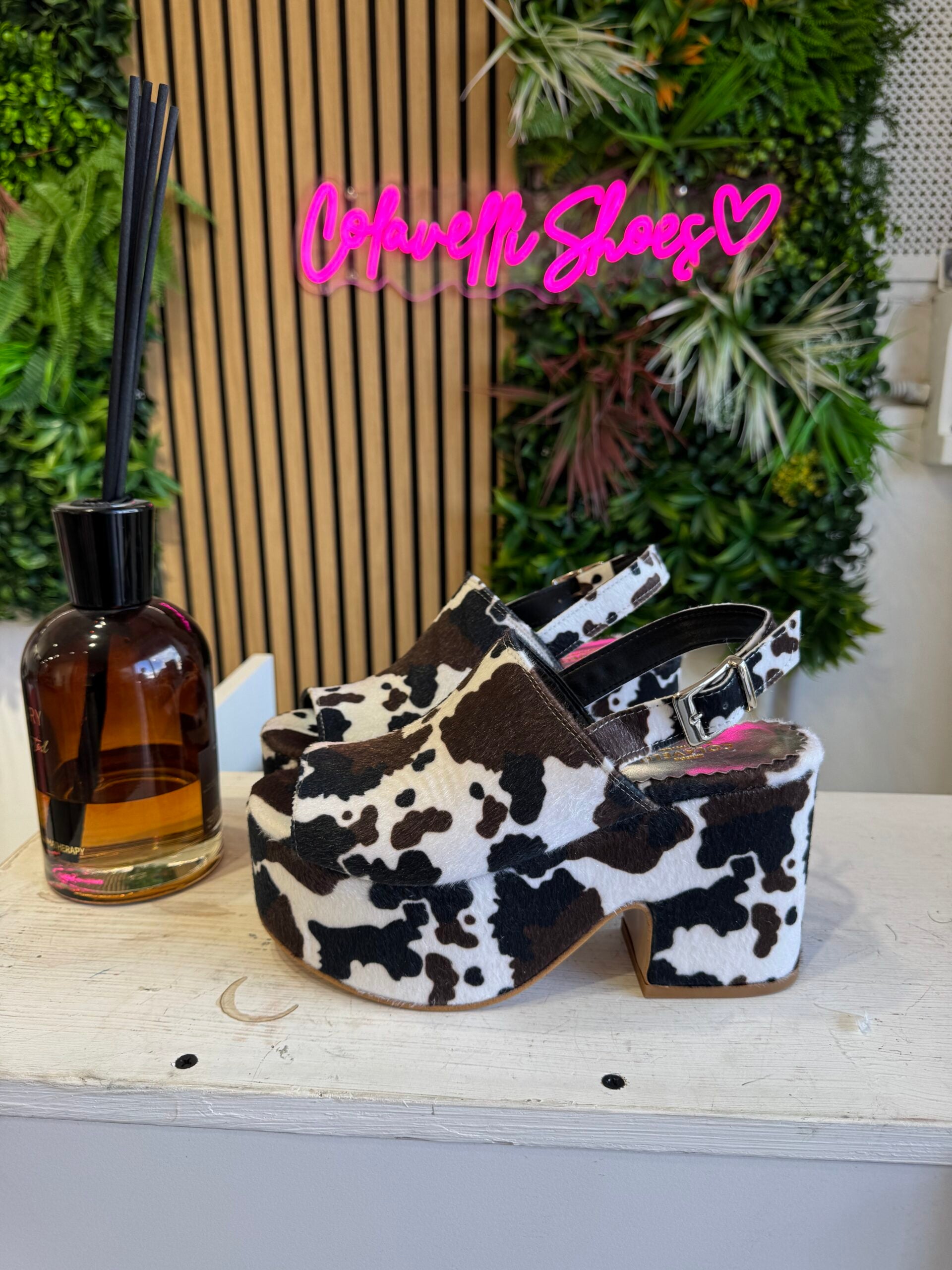 Marrakesh brown black cow