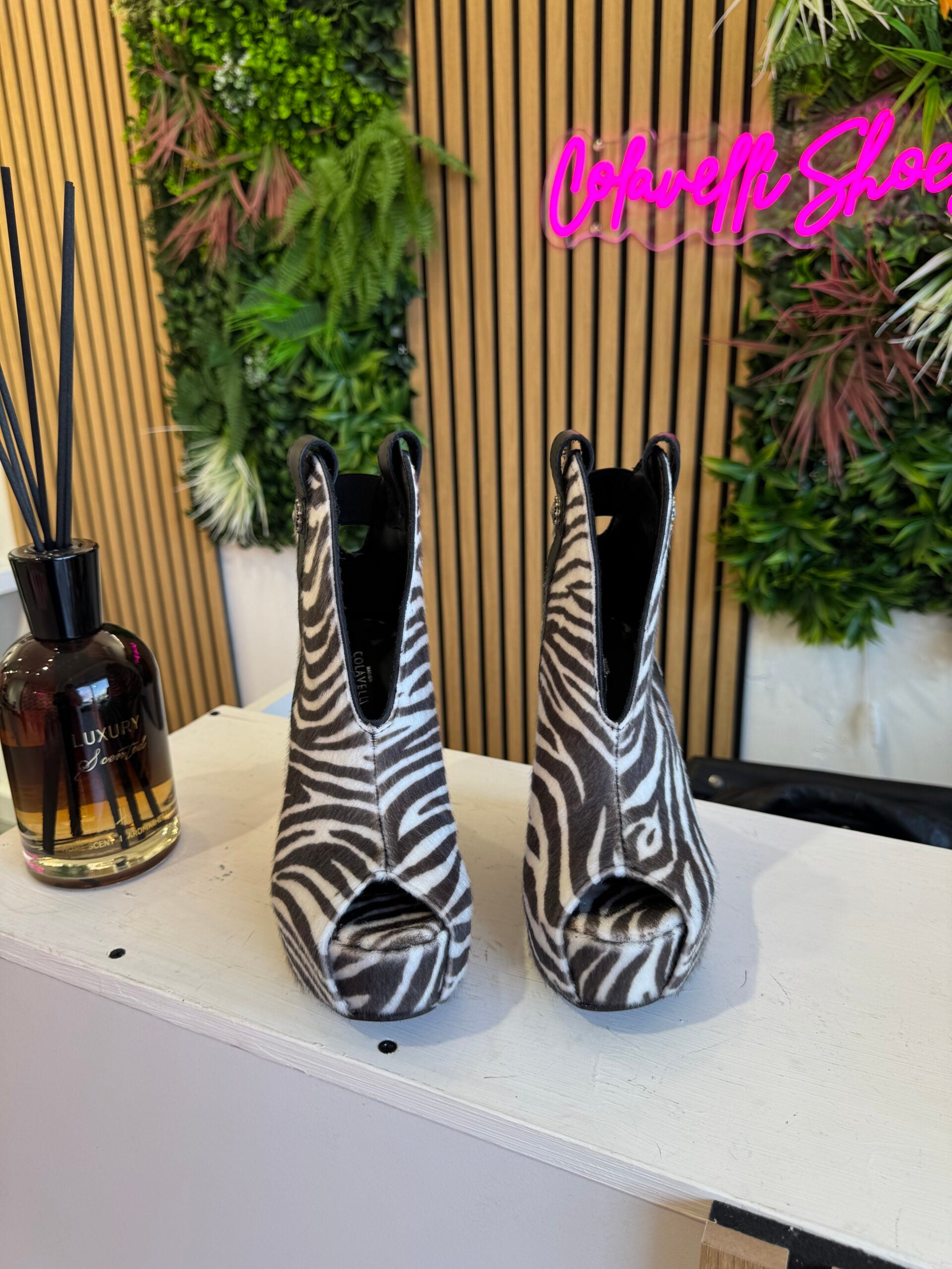 Zebra Thiago