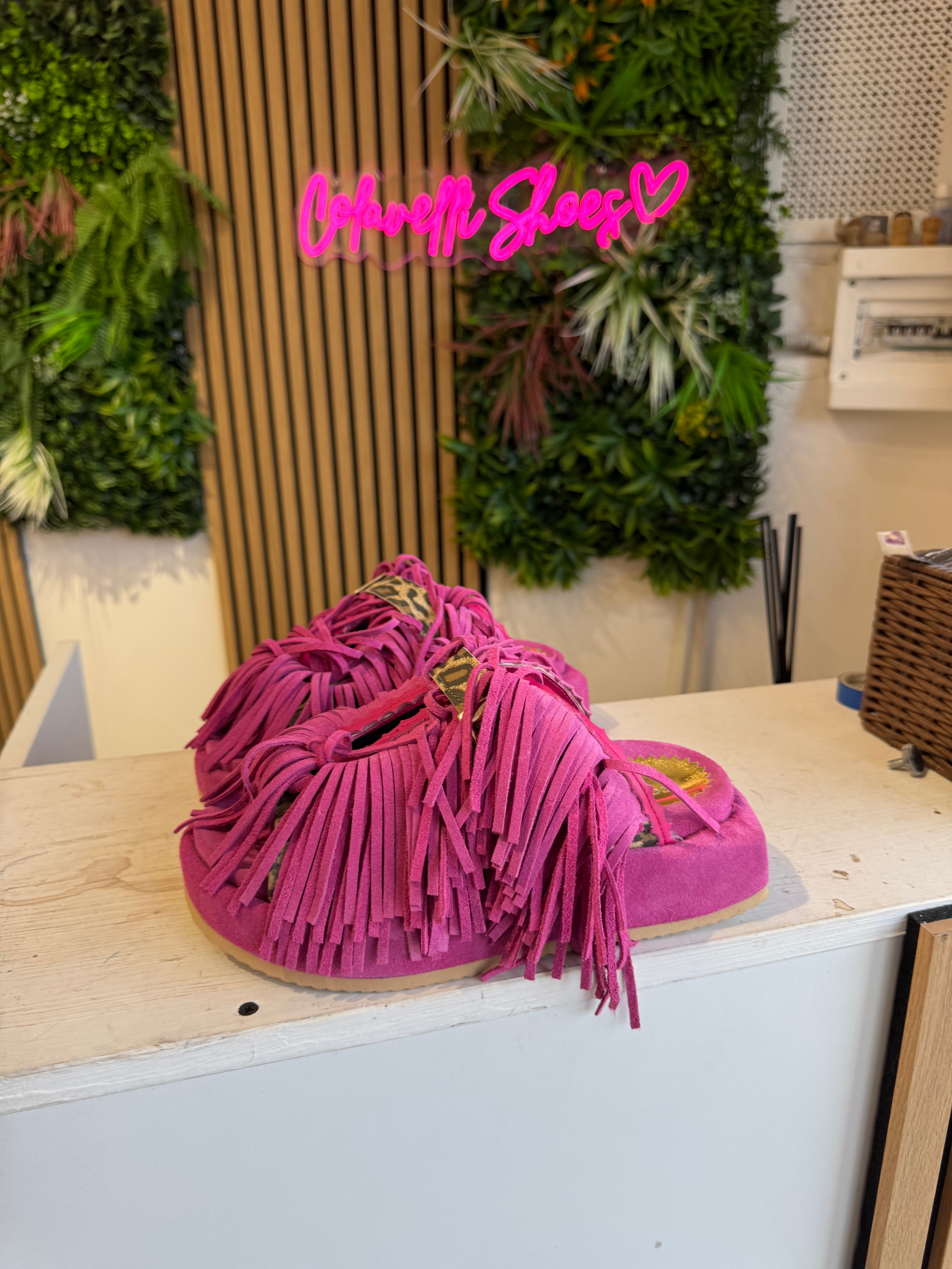 Sinfonia suede fuchsia spotted rip