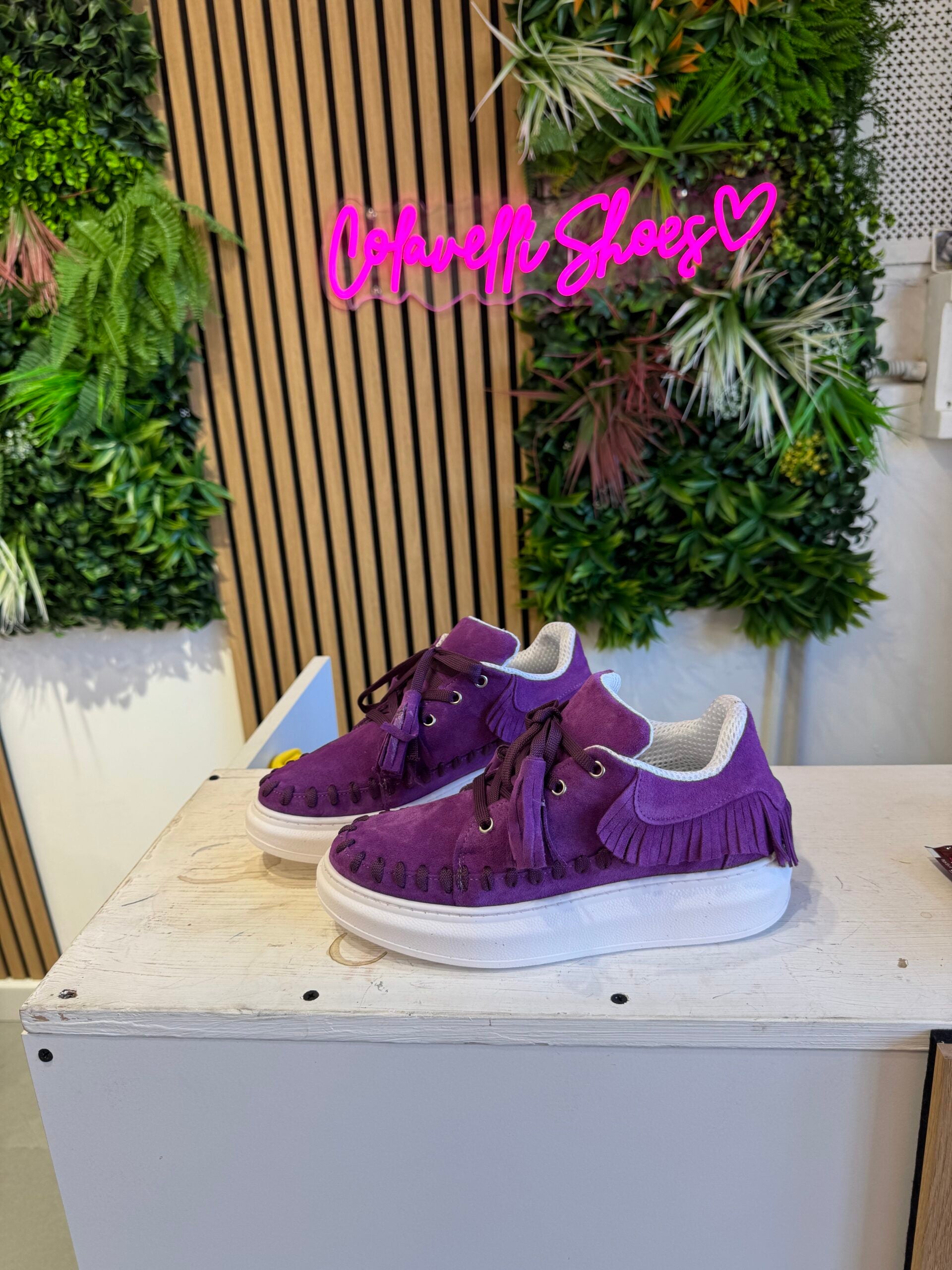 Mi cámara morada