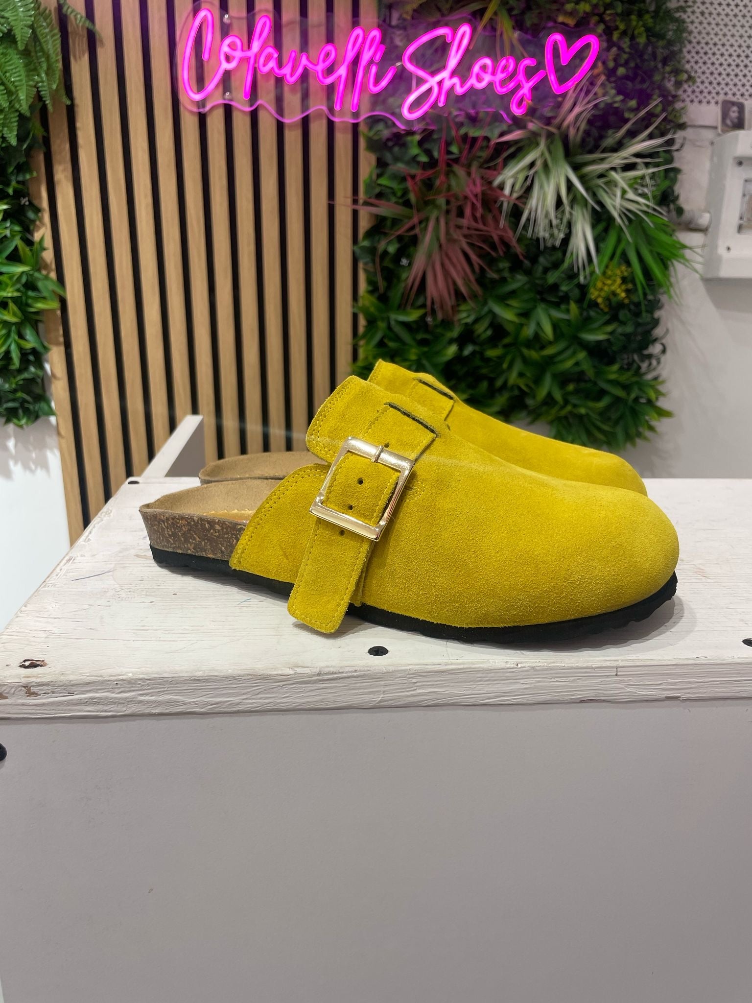 Bunny Roby basic cam giallo